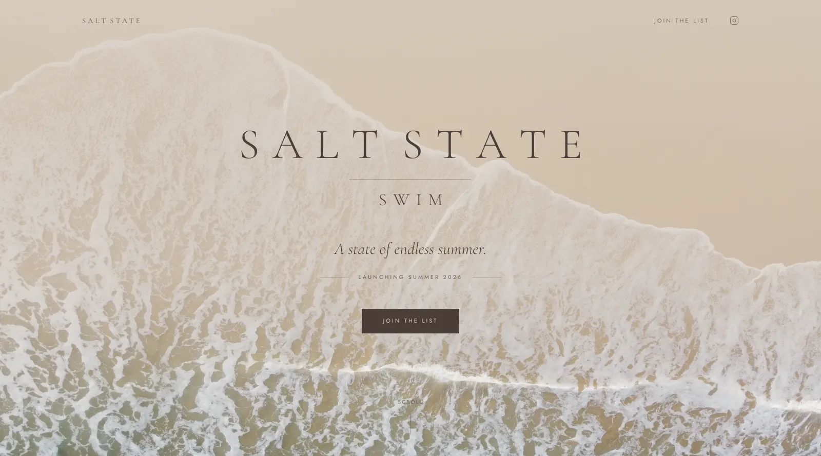 Salt State Swim